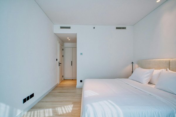 Magnum champagne louis roederer : l'exception à savourer